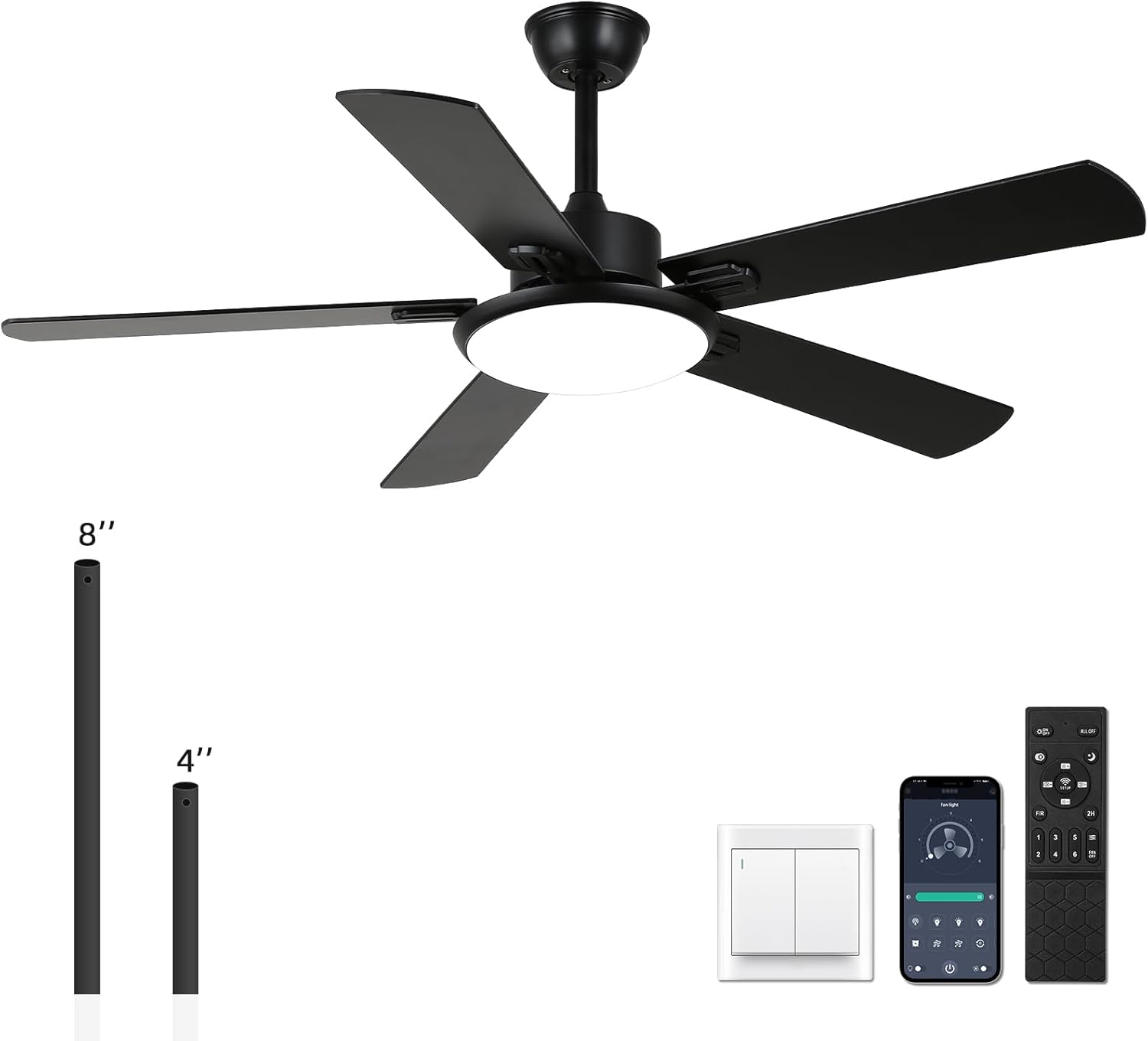 Comprehensive Review of the RIENAZA 52-Inch Black Ceiling Fan with Lights 1 Product Image