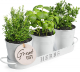 Transform Your Space with Barnyard Designs Indoor Herb Garden Planter Set