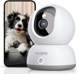 Comprehensive Review of the blurams Indoor Security Camera 2K