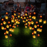 Illuminate Your Thanksgiving with BeHiller Fall Decor Solar Garden Lights
