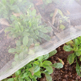 Ultimate Guide to Garden Netting Pest Barriers