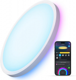 Govee Smart Ceiling Light: A Comprehensive Review