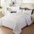 A Comprehensive Review of the Andency Stripe Quilt Set Twin