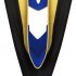 Why the Master Graduation Deluxe Hood is Essential for Your Graduation Ceremony
