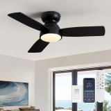 Transforming Your Space with the Moooni Black Ceiling Fan