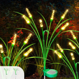 Illuminate Your Garden with the 2 Packs Reeds Solar Garden Light