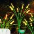 Achieve Gardening Success with Seeding Square