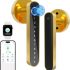 Unlocking the Features of the Globe Electric Wi-Fi Smart Flush Mount Ceiling Light