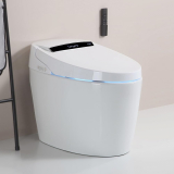 Exploring the Future of Bathroom Comfort: Smart Toilets with Bidet Features