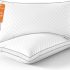 Luxuriate in Comfort: A Detailed Review of Elegant Comfort’s 6-Piece Sheet Set
