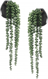 Transform Your Space with Tiita Artificial Hanging Plants