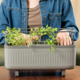 Vego Garden Herb Indoor Plant Box Review
