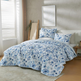 Transform Your Bedroom with the Vintage Comfort Twin/Twin XL Quilt Set