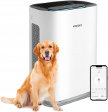 WiseHEPA WS460A Air Purifier Review: Clean Air for a Healthy Home