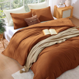 Transform Your Bedroom with WRENSONGE Burnt Orange Comforter Set
